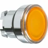 Brandneu 🎁 Schneider Electric DRUCKTASTER,FL,GE,F.EINLEGES. (ZB4-BA58) 😉 7