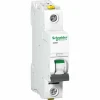 Am billigsten 🧨 Schneider Electric A9F07116 A9F07116 Leitungsschutzschalter 16 A 230 V ⭐ 5