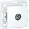Bestpreis 🥰 ALR A, TV-STECKDOSE EINZEL M BLIND E, 1 STECKDOSE, POLARWEIß SCHNEIDER ELECTRIC SCHALB61311P 🎁 10